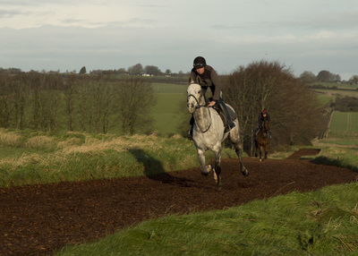 Whitsbury all weather gallops